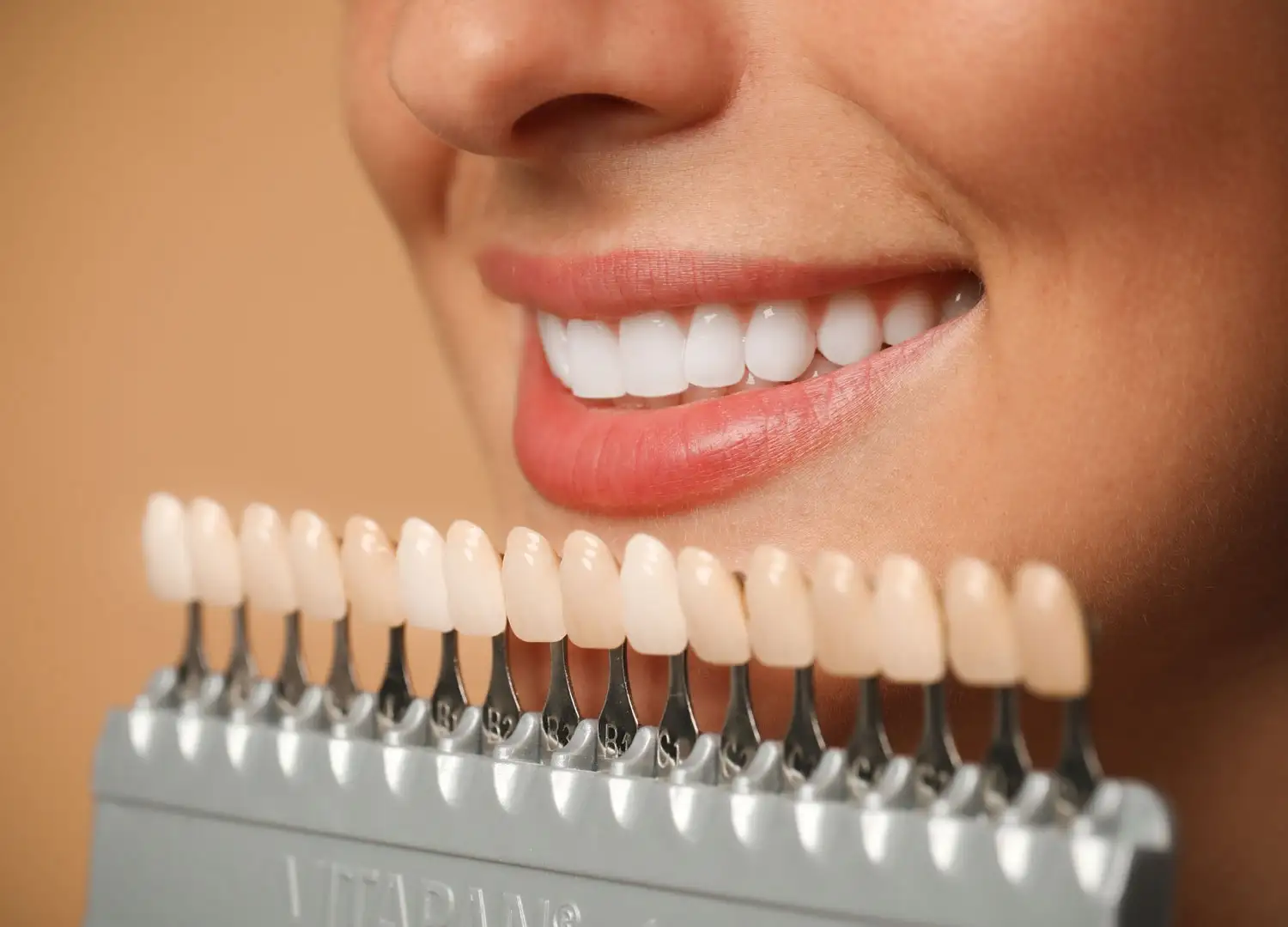 Dental Care