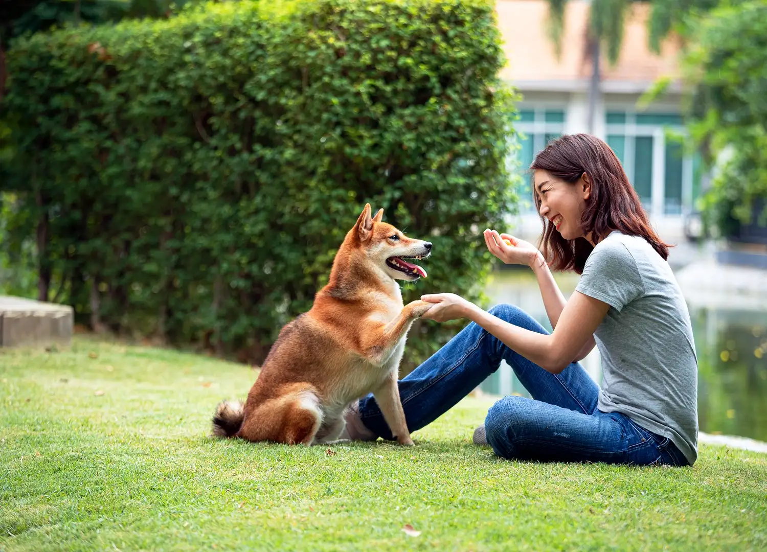Pets and Pet Care